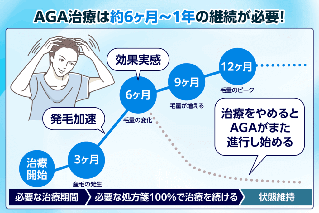 AGA治療には約6か月～1年の継続が必要であることを示したグラフ画像