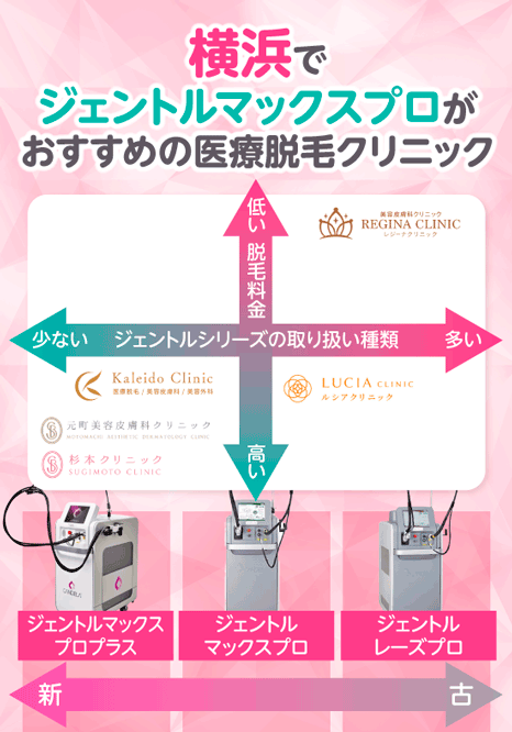 横浜のジェントルマックスプロ採用のクリニックのカオスマップ