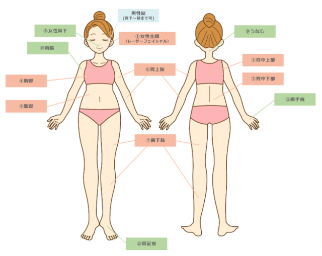 みやぎクリニックの脱毛部位